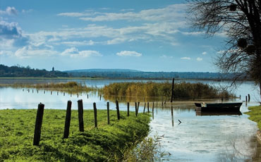 Dans la Baie des Veys